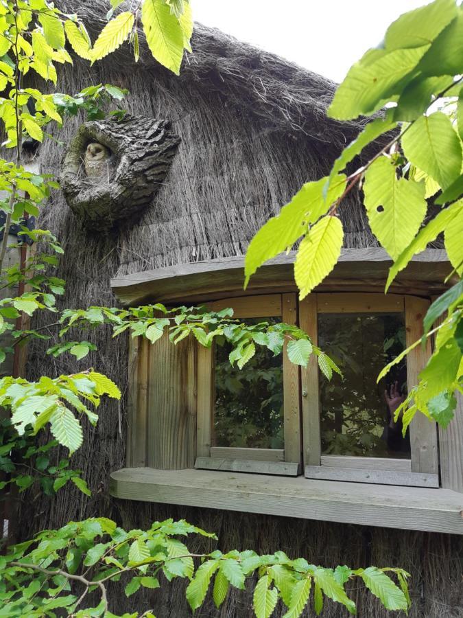 Cabane D'Augustin Saint-Augustin  ภายนอก รูปภาพ