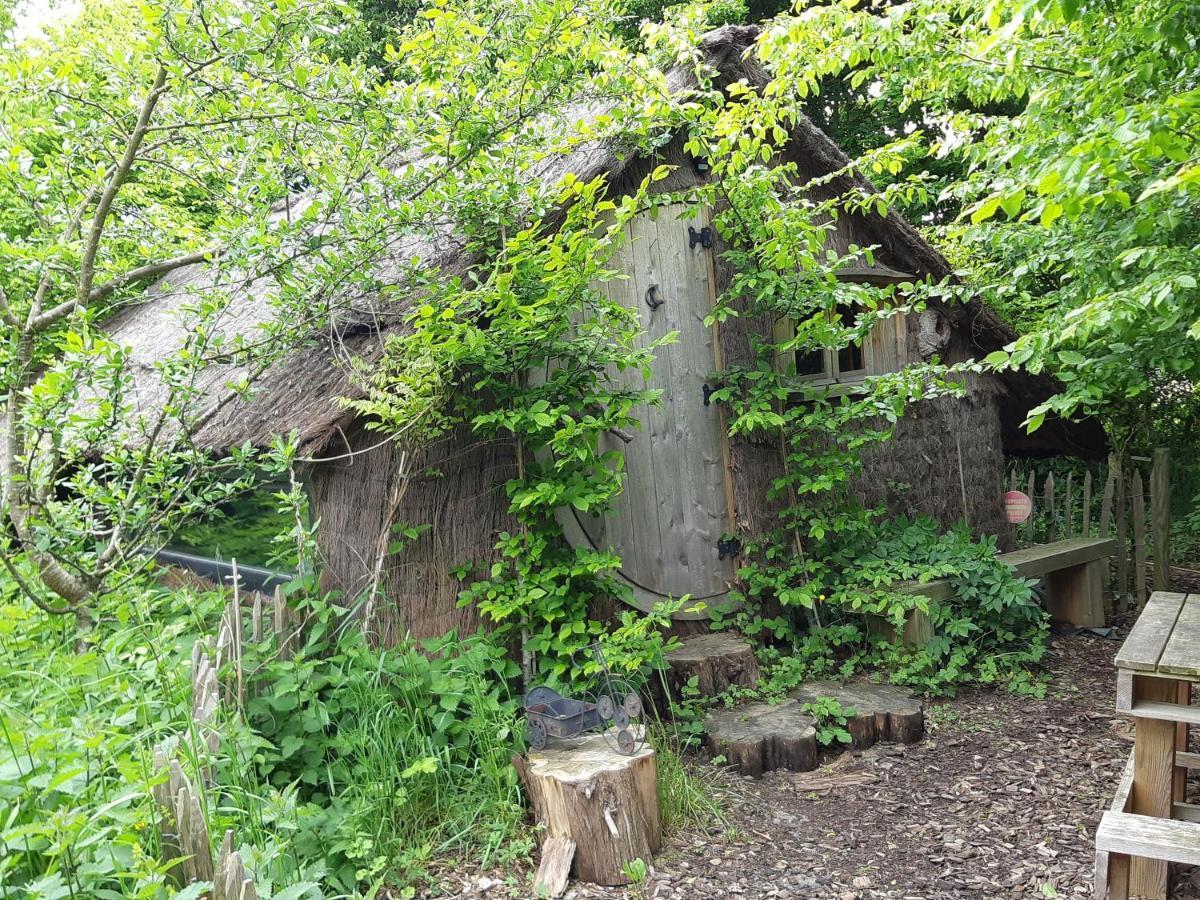 Cabane D'Augustin Saint-Augustin  ภายนอก รูปภาพ